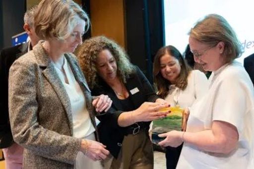 IMS 2026 4